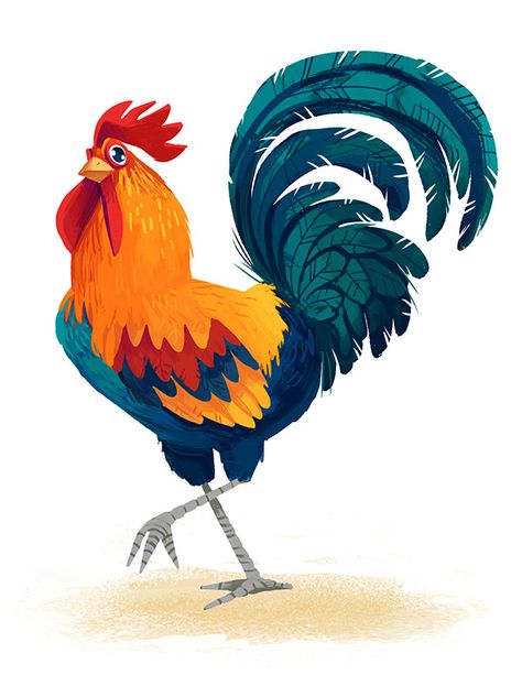 Kim Smith Chickens! on Behance Rooster Drawing, Easter Drawing, Rooster Illustration, Chicken Drawing, Kim Smith, Chicken Illustration, 동화 삽화, Illustration Studio, Chicken Painting