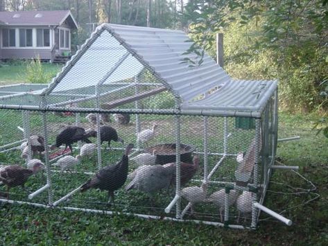 my new turkey tractor | BackYard Chickens - Learn How to Raise Chickens Pvc Chicken Tractor, Urban Chicken Farming, Mobile Chicken Coop, Best Egg Laying Chickens, Portable Chicken Coop, Egg Laying Chickens, Chicken Pen, Chicken Tractors, Chicken Tractor