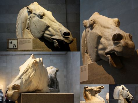 Horse's Head from Elgin Marbles, Parthenon Sculptures, British Museum | por noriko.stardust Fantasy Sketchbook, Horse Head Sculpture, Elgin Marbles, Equestrian Statue, Showing Respect, Horse Anatomy, Head Sculpture, Equestrian Art, Mexico Art