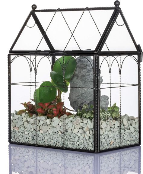 Amazon.com: NCYP 7.5x4.9x9 inches Black Glass Terrarium with Lid for Insect Snail, Geometric Planter Pot for Cacti Air Plants Succulents, House Shape Twisted Brass Wire Decorated Closed Box (No Plant Included) : Patio, Lawn & Garden Victorian Terrariums, Large Glass Terrarium, Cactus Terrarium, House Planter, Geometric Planter, Terrarium Containers, Geometric Terrarium, Handmade Planter, Plants Succulents