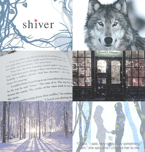 Shiver Maggie Stiefvater, Shiver Book, To Kill A Kingdom, Quote Journal, Maggie Stiefvater, Currently Reading, Bookish Things, Journal Quotes, Shadowhunters