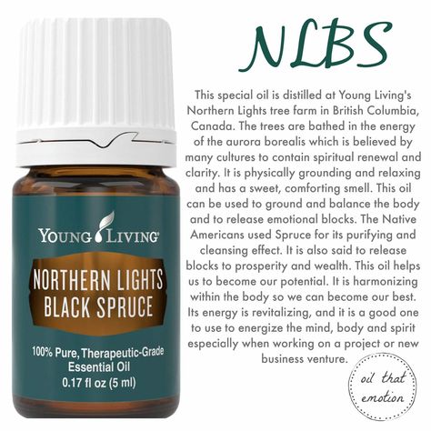 Northern lights black spruce emotional Black Spruce Essential Oil, Northern Lights Black Spruce, Spruce Essential Oil, Black Spruce, Floral Essential Oils, Essential Oils 101, Young Living Essential Oils Recipes, Yl Oils, Northern Light