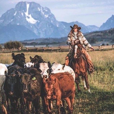 Foto Cowgirl, Real Cowboys, Western Photography, Cowgirl Magazine, Wilde Westen, Cowgirl And Horse, Rodeo Life, Western Life, Western Riding