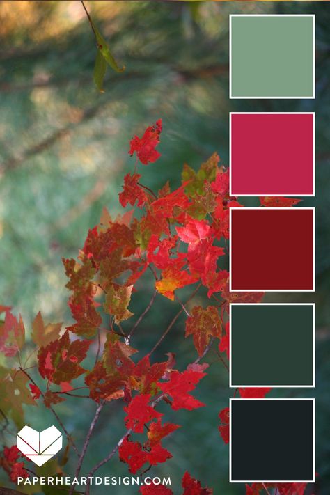 Color Schemes Colour Palettes, Fall Color Palette, Color Palate, Color Palette Design, Autumn Leaf, Paper Heart, Colour Board, Color Of The Year, Colour Schemes