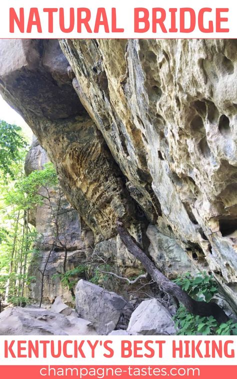 If you're planning to go hiking at Natural Bridge State Resort Park in Kentucky, here's what you should know before you go before you check out one of the best hikes in Kentucky! Natural Bridge State Park Kentucky, Natural Bridge Kentucky, Kentucky Hiking, Red River Gorge Kentucky, Kentucky Attractions, Kentucky Vacation, Weekend Getaways For Couples, Kentucky Bourbon Trail, Kentucky Travel