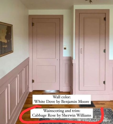 Sherwin William Pink Paint, Sw Dressy Rose, Sherwin Williams Rose Colored, Sherwin Williams Cabbage Rose, Pink Sherwin Williams Paint, Cabbage Rose Sherwin Williams, Sherwin Williams Pink Paint Colors, Rose Paint Color, Hallway Upstairs