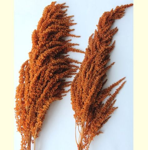 Amaranth Wedding, Amaranthus Bouquet, Amaranthus Flower, Amaranth Flower, Wedding Arch Decor, Hanging Amaranthus, Photo Props Diy, Arch Decor, Cascading Flowers