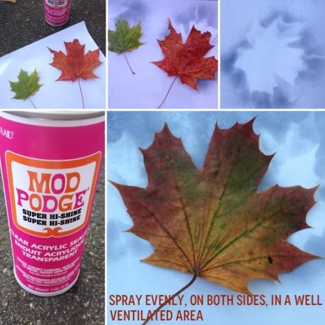 How to Wax and Preserve Leaves for Fall Decorations Fall Leaves Wax Paper Craft, Waxed Leaves, How To Preserve Leaves, Preserve Leaves, Wax Paper Crafts, Fun Fall Activities, Modge Podge, Dunkin Donuts Coffee Cup, Center Pieces