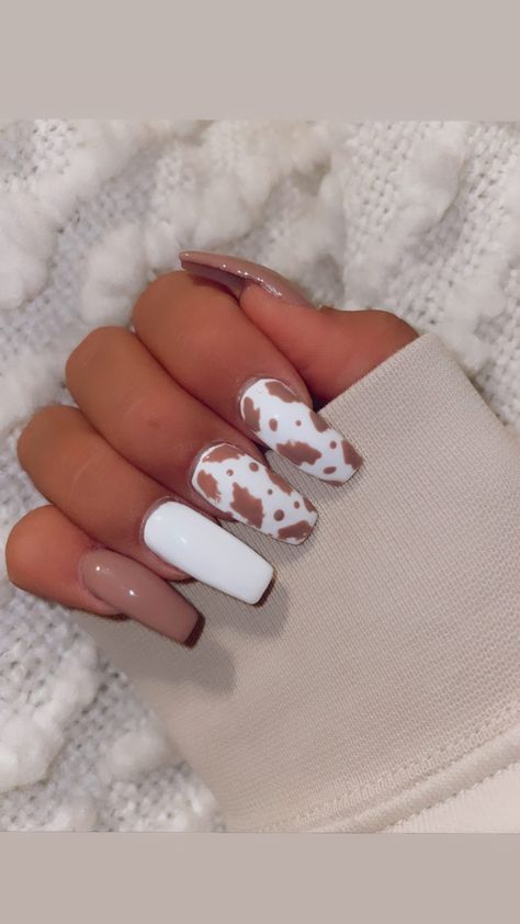 Simple Acrylic Nails Cow Print, White Nails Animal Print, Cute Cowprint Nail Designs, Coffin Acrylic Nails Cow Print, Medium Cow Print Nails, Cute Cow Print Nail Ideas, Cow Print Fake Nails, Yellow And Cow Print Nails, Morgan Wallen Acrylic Nails