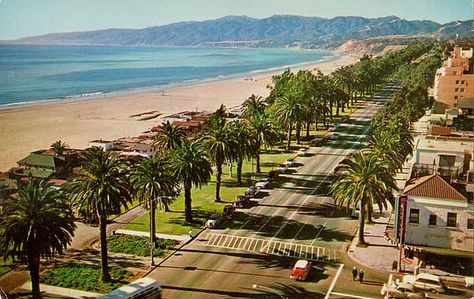 Pacific Palisades Park, Santa Monica, CA Chinatown Los Angeles, Forest Lawn Memorial Park, Olvera Street, Los Angeles Museum, Frank Thomas, Los Angeles Hotels, Santa Monica Beach, Malibu Beaches, Santa Monica California