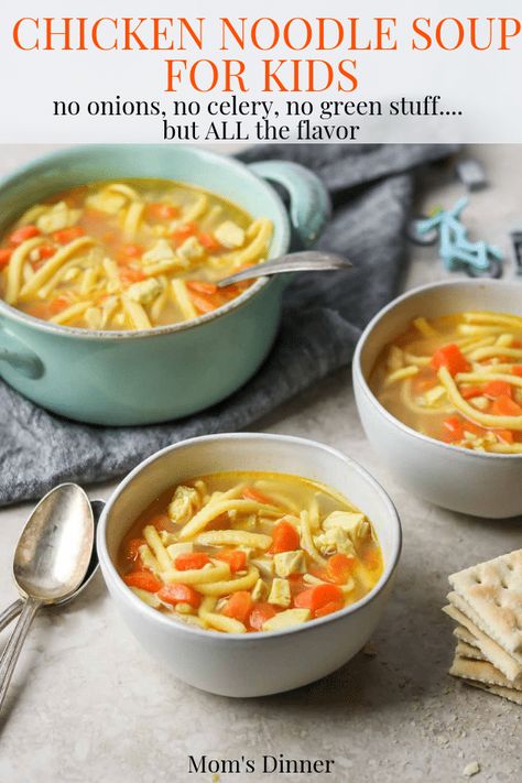 A Kid Friendly Chicken Noodle Soup Recipe that doesn't have any ingredients that will offend your picky eaters. No onion, no celery, no garlic, no green things!! A kid friendly dinner that still has all the delicious flavor that you want in a chicken noodle soup. #kidfood #kidfriendlydinner #chickennoodlesoup #soup #dinner Soup For Toddlers, Kid Friendly Soup Recipes, Kid Friendly Soup, Soups For Kids, Chicken Noodle Soup Crock Pot, Chicken Noodle Soup Recipe, Chicken Noodle Soup Easy, Noodle Soup Recipe, Chicken Noodle Soup Homemade