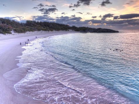 Horseshoe Bay is one of the pink sand beaches you’ll find in Bermuda. Located in Southampton, the beach offers miles of rosy sands resulting from a mixture of crushed shells, coral, and calcium carbonate. Purple Sand Beach, Elbow Beach Bermuda, Carnival Splendor, Purple Beach, Pink Sand Beach, Harbour Island, Colored Sand, Dream Beach, Pink Beach