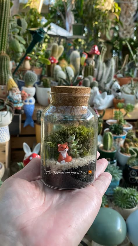 I found a little fox for my mini terrarium 🦊 Diorama In A Jar, Small Jar Terrariums, Terrarium Gift Ideas, Mini Terrarium Ideas, Clay Terrarium, Journey Theme, Mini Ecosystem, Tiny Crafts, Mason Jar Terrarium