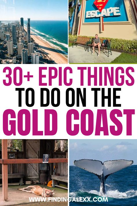 Explore the ultimate Gold Coast bucket list featuring over 30 must-do activities and experiences! From surfing iconic waves and exploring theme parks to hiking scenic trails and indulging in local cuisine, this guide covers everything you need for an unforgettable trip to Australia’s sunny paradise. Things To Do In Australia, Trip To Australia, Australia Itinerary, Theme Parks, Australia Travel, The Gold, City Guide, Gold Coast, Theme Park