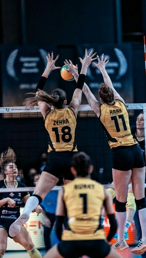 Volleyball Images, Volleyball Backgrounds, Volleyball Tryouts, Aesthetic Sports, Volleyball Photography, Volleyball Wallpaper, Indoor Volleyball, Volleyball Photos, Volleyball Poses