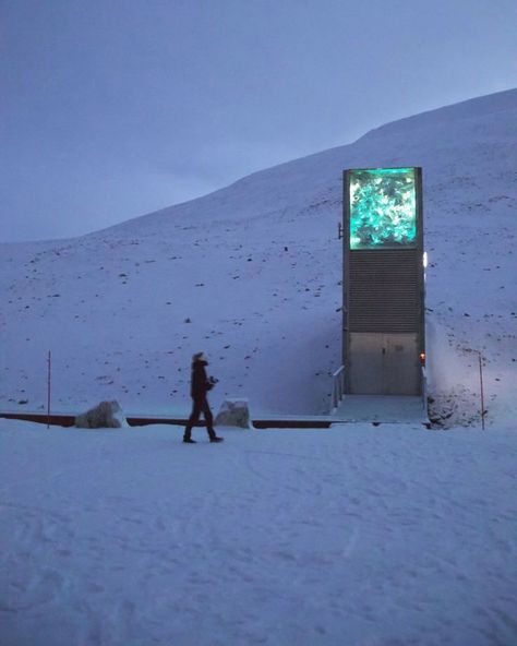 Exploring 👁️❄️ Svalbard Aesthetic, Sun Gods, Seed Vault, Night Anime, Virtual Studio, Fate Stay Night Anime, Career Choices, Travel Outdoors, Brutalism