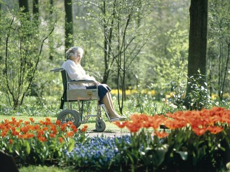 Gardens May Be Therapeutic For Dementia Patients (Smithsonian). Gardening is an art form for many! Adaptive Gardening, Nursing Home Garden Design, Therapy Garden, Memory Garden, Wheelchair Friendly Garden, Therapeutic Garden, Garden For Disabled People, Horticulture Therapy, Creative Arts Therapy