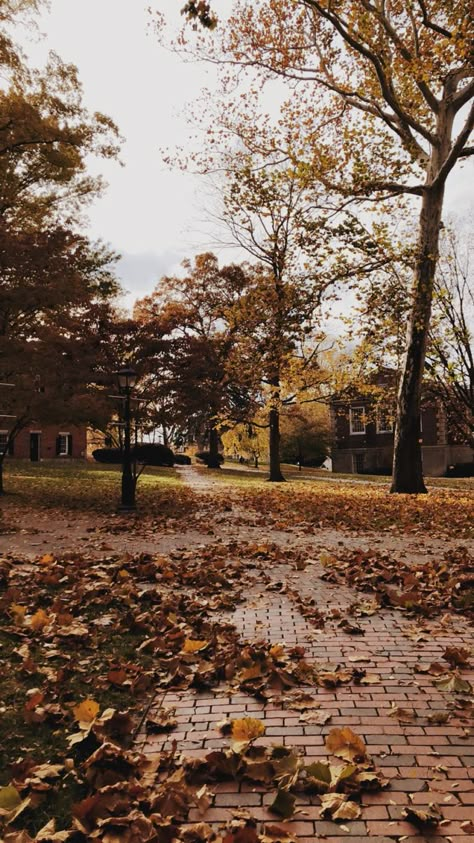 Fall Semester College Aesthetic, Athens Ohio Aesthetic, Ohio University Aesthetic, Autumn College Aesthetic, Leaving For College Aesthetic, Autumn University Aesthetic, Fall University Aesthetic, College Asthetic Picture, Campus Life Aesthetic