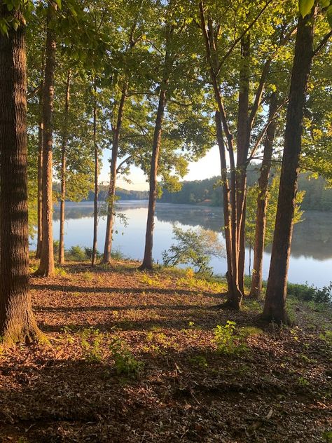 Lake Front Rustic Cabin - Cabins for Rent in Franklinville, North Carolina, United States - Airbnb North Carolina Lakes, Lake Front, Lake Shore, Oak Trees, Rustic Cabin, High Point, 2 Beds, For Rent, North Carolina