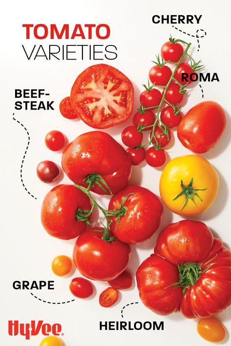 Tomayto, tomahto! Curious about the real difference between grape tomatoes and cherry tomatoes? Or how about beefsteak tomatoes and heirloom varieties. Check out this nifty guide to learn about your favorite tomato variety. Oh, and get a few of our favorite tomato recipes, too. Let's get cooking! Tomato Poster, Cherry Tomato, Tomatoes, Tomato Vine, From Farm To Table, Food Business Ideas, Beefsteak Tomato, Food Poster Design, In Season Produce