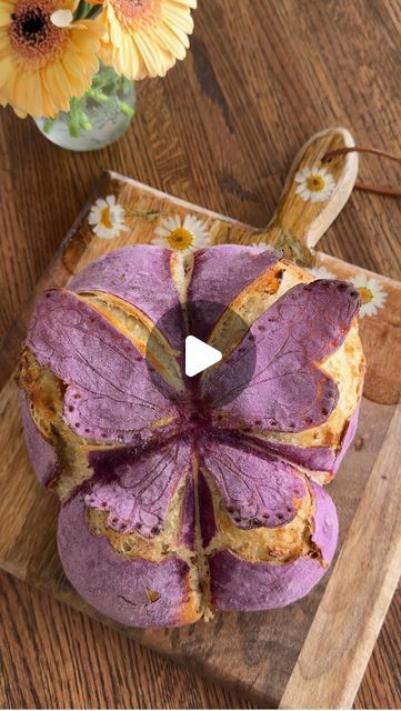 The Sourdough Mama | Katrina Niesen on Instagram: "The step by step moments for making my purple sourdough butterfly loaf. 🥰🫶🏼 🦋   Inspired by Nikki Petock’s amazing monarch that she shared on tiktok and Facebook-I highly recommend checking it out. Her painted butterfly is gorgeous!  This is also a fun next level challenge if you’ve made pumpkins before. Similar ties but those deep wing cuts are a nice twist! Be sure to add oiled foil balls under the wings to ensure they take off!   Loved this one and I’d like to try it again with paint like she did.   #mysourdoughbutterfly #sourdough #butterfly #summer #farmstyle #sourdoughscoring #purplebread #breadart #foodporn #butterflies #summervibes #homey #cottagecore #challengerbreadpan" Purple Sourdough Bread, Artistic Bread, Plain Biscuits, Purple Bread, Yeast Bread Rolls, Sweet Potato Powder, Cottagecore Spring, Flat Breads, Painted Butterfly