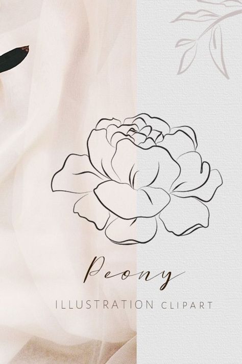 Peonies symbolize romance and prosperity. Their feminine blooms are perfect to use as elegant illustration design clipart. Digital peonies are also the best way to keep them last throughout the year. You may use them for your own wedding, decoration, website, icons, logo, packaging etc. Peonies Symbolize, Peonies Background, Peonies Wallpaper, Peony Flower Tattoos, Peony Drawing, Peony Illustration, Elegant Illustration, Peonies Centerpiece, Japanese Flower Tattoo