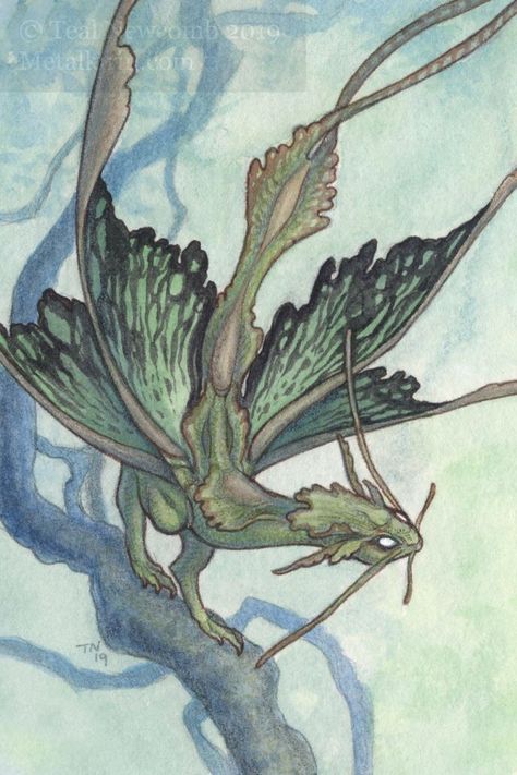 Moth Dragon, Green Moth, Art Dragon, Green Dragon, Fantasy Creatures Art, Dragon Artwork, Cute Dragons, Vintage Frame, Dragon Drawing