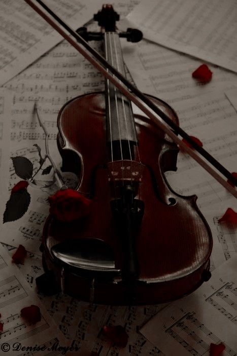 Violin Pics, Violin Photography, Dark Academia Wallpaper, Violin Art, Violin Bow, Music Writing, Music Motivation, Academia Wallpaper, Gray Aesthetic