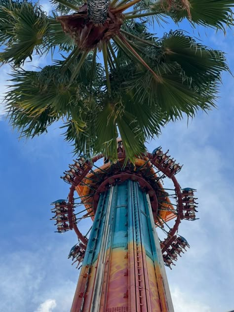 Bush Gardens Tampa Rollercoaster theme park drop tower palm tree Bush Gardens Outfit Ideas, Aesthetic Theme Park, Aesthetic Orlando Florida, Busch Gardens Tampa Aesthetic, Busch Gardens Aesthetic, Bush Gardens Tampa, Bush Garden Tampa, Bush Garden, Busch Gardens Tampa