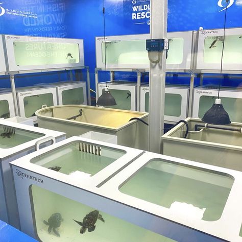 Marine Biology Classroom, Animal Rehabilitation Aesthetic, Marine Rehabilitation Aesthetic, Aesthetic Marine Biologist, Marine Rehabilitation, Marine Biology Outfits, Marine Biologist Outfit, Marine Biologist Career, Marine Biologist Aesthetic