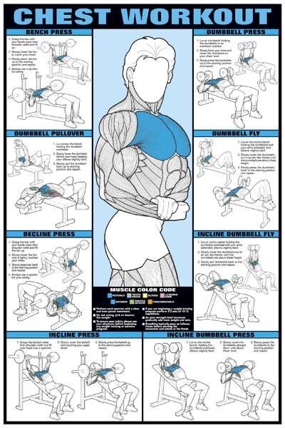 Best Chest Workout, Gym Poster, Workout Posters, Popular Workouts, Fit Motivation, Workout Chart, Muscle Training, Chest Workouts, Trening Abs