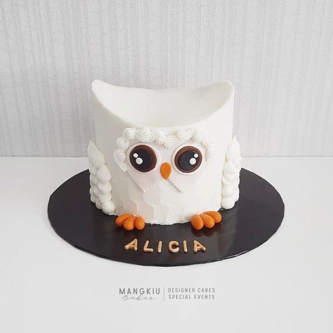 Owl Cake Design, Birthday Cake Boy, Owl Cake Birthday, Owl Cakes, Artist Cake, Owl Cake, Owl Birthday, White Owl, Boy Birthday Cake