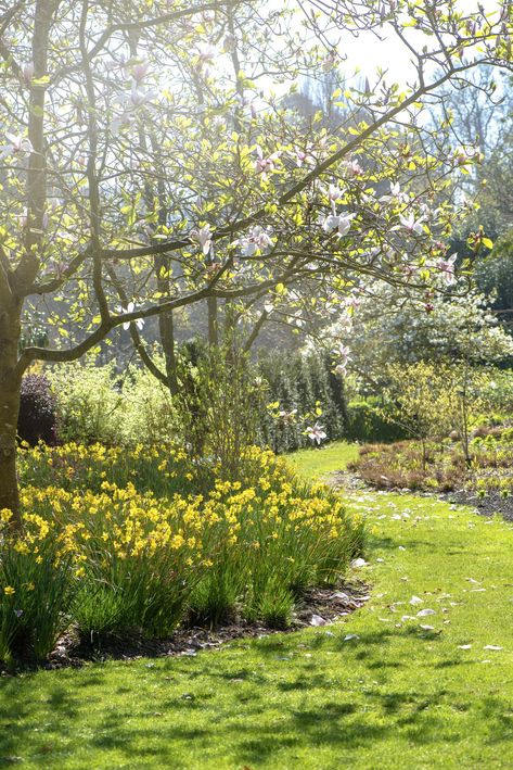 Summer Garden Landscape, English Spring Aesthetic, English Countryside Spring, English Countryside Wallpaper, Cozy Spring Aesthetic, Spring References, Spring Time Pictures, Spring Season Photography, Spring Aesthetic Nature