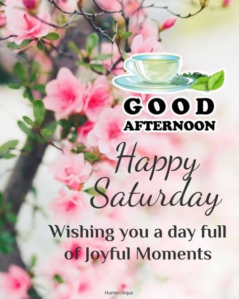 Good Afternoon Happy Saturday, Good Afternoon Blessings, Afternoon Blessings, Happy Saturday Images, Afternoon Images, Blessed Weekend, Saturday Images, Afternoon Quotes, Weekend Humor