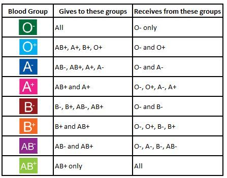 Rarest Blood: Mumbai Blood Group | Wrytin A Negative Blood, Blood Compatibility, Ab Positive, Ab Blood Type, Blood Group, Donate Blood, Medical Videos, Medical Billing And Coding, Blood Groups