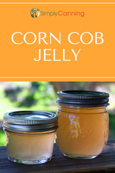 Corn cob jelly isn’t what you think. This delicious jelly will surprise you! Corn Cob Jelly, Canning Tomato Juice, Freezing Corn, Canning Corn, Canning Gifts, Diy Canning, Low Sugar Jam, Corn Relish, How To Make Corn