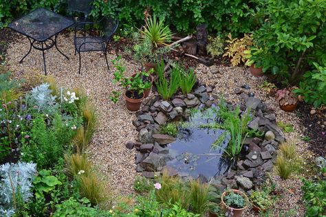 Small Garden Wildlife Pond, Small Wildlife Pond, Wildlife Ponds, Garden Ideas Uk, Wildlife Pond, Backyard Birds Sanctuary, Pond Garden, Garden Pond Design, Theater Design