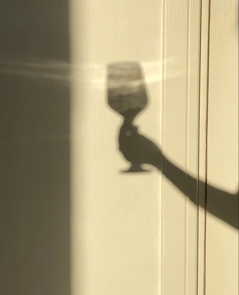 Wine Glass Shadow Aesthetic, Glass Distortion, Shadow Aesthetic, Holiday Inspo, Sazerac, Photo Inspo, Glass Cup, Wine Glasses, Red Wine