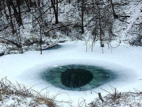 Magic of Pagan on Instagram: “The Eye of the Forest  Picture from Pinterest #pagan #vikings #norse #forest #druids #spell #magic #natural #fantasy #magicofpagan #woods…” Bg Design, Frozen Lake, Human Eye, Twin Towers, Winter Aesthetic, Elder Scrolls, Pics Art, Wisteria, In The Woods