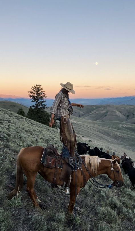 Western Mountain Aesthetic, Ranch Astethic, Ranch Hand Aesthetic, Western Riding Aesthetic, Rancher Life, Ranch Life Aesthetic, Ranching Life, Ranch Aesthetic, Cowboy Riding Horse