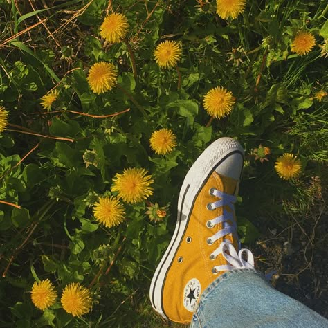 Yellow Sneakers Aesthetic, Ansley Aesthetic, Yellow Converse Aesthetic, Boty Converse, Vans Aesthetic, Asian Medicine, Converse Aesthetic, Yellow Converse, Aesthetic Quiz