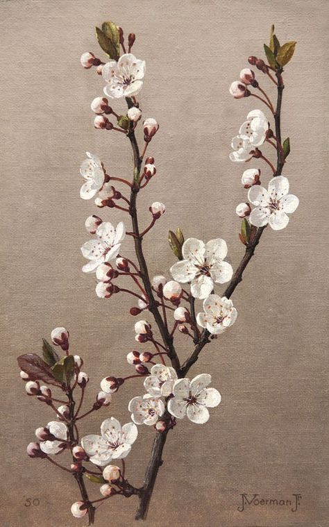 Apricot Blossom, Acrylic Painting Ideas, Flow Painting, Cherry Blossom Art, Acrylic Painting Lessons, Blossom Tattoo, Bubble Art, Blossoms Art, Simple Acrylic Paintings