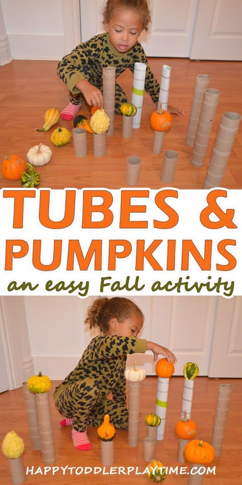 Preschool Pumpkins, Fall Stem Activities, Preschool Pumpkin, Pumpkins Preschool, October Preschool, Fall Activities For Toddlers, Pumpkin Unit, Pumpkin Activities, Fall Preschool Activities