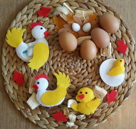 Lifecycle of a hen. Playtime with KingsKid softbook :) Egg Project, Life Cycle Craft, Homeschool Crafts, Bridal Party Favors, Parts Of A Flower, Felt Craft, School Project, Craft Bags, Childrens Crafts