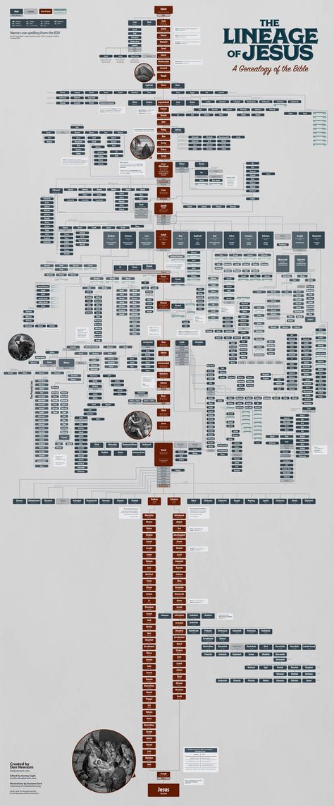 The Lineage of Jesus; A Genealogy of the Bible - From Adam to Jesus Bible Genealogy Chart, New Testament Timeline, Biblical Genealogy, Jesus Genealogy, Genesis Timeline, Jesus Infographic, Timeline Of Biblical History, Lineage Of Jesus, Biblical Timeline