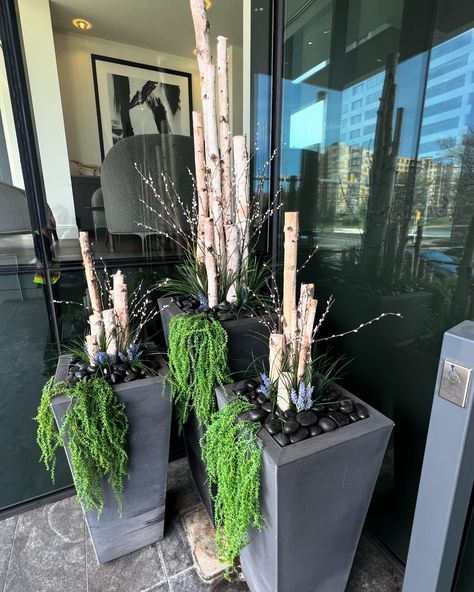 Beautiful Birch Branches 🪵 and Spring Style 🌱🪻 #spring #planters #birchbranches #springdecor #decorativeplanters #fauxdesign Birch Planter, Spring Planters, Winter Planter, Birch Branches, 2024 Ideas, Container Gardening Flowers, Pot Ideas, Decorative Planters, Small Patio