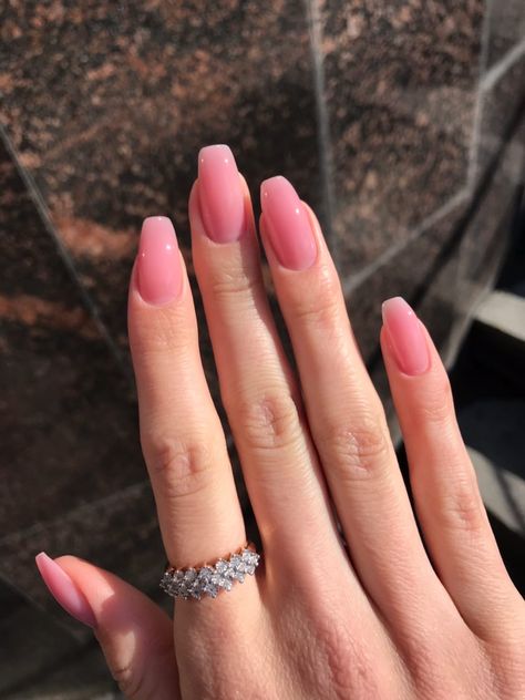 Plain Dip Nails, French Nails 2024, Short Pink Gel Nails, Pinkish Nails, Biogel Nails, Milk Pink Nails, Translucent Pink Nails, Perfect Pink Nails, Casual Nails