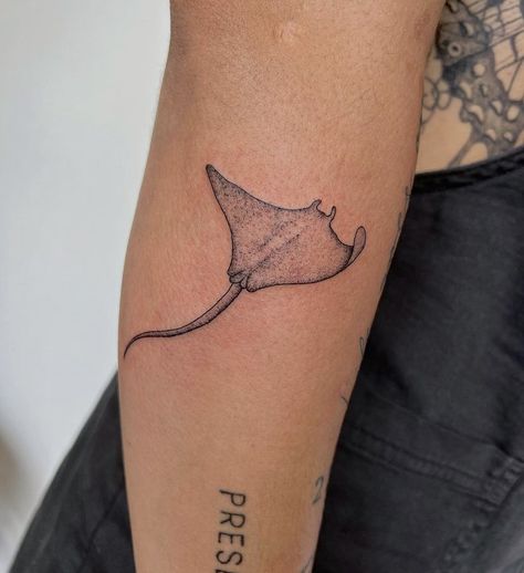 Ocean Art Tattoo, Fineline Whale Shark Tattoo, Stingray Rib Tattoo, Stingray Hip Tattoo, Manta Ray Tattoo Minimalist, Minimalist Stingray Tattoo, Mantaray Tattoo Design, Sea Animal Tattoos Sleeve, Stingray Tattoo Meaning