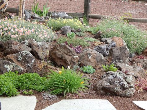 Volcanic rocks abound here.  So they are naturals for the landscape Volcanic Rock Landscaping, Rocks Garden, Rock Garden Ideas, Rock Retaining Wall, Backyard Dining, Volcanic Island, Alpine Garden, Meditation Area, Rock Gardens