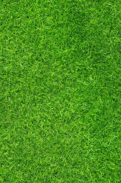 Grass Texture Seamless, Green Grass Texture, Texture Pictures, Grass Texture, Grass Background, Dollhouse Printables, Technology Icon, Free Business Card Mockup, Free For Commercial Use